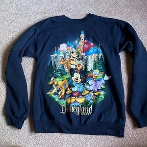 Disney Disneyland resort adult small pullover crewneck